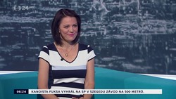 Obrázek