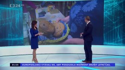 Obrázek