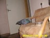 7c5f631099888344.jpg