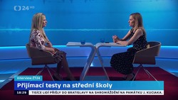 Obrázek