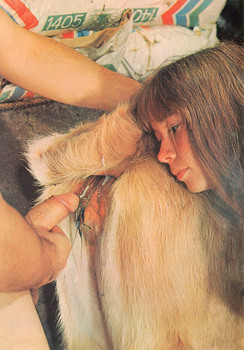 Bizarre Animal Sex Porn - Animal Bizarre 15 Vintage Zoo Magazines Zoo Sex Zoo Sex