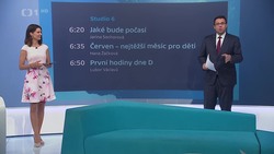 Obrázek