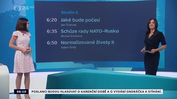 Obrázek