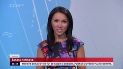 Obrázek