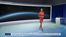 Obrázek
