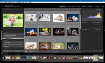 Adobe Photoshop Lightroom Classic CC 2019 8.2 RePack (MULTI/RUS/ENG)