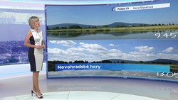 Obrázek