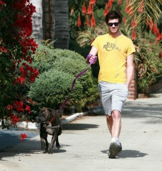 Adam Brody - Walking His Dog - November 18, 2008