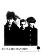 Echo and the Bunnymen 7520bb926692444