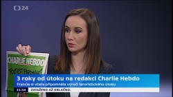 Obrázek