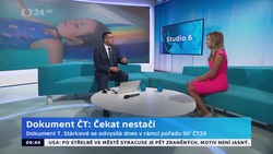 Obrázek
