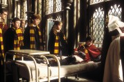 Гарри Поттер и Тайная Комната / Harry Potter and the Chamber of Secrets (Уотсон, Гринт, Рэдклифф, 2003) F4e29d651262563