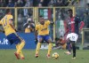 фотогалерея Bologna FC - Страница 3 474a59693132343