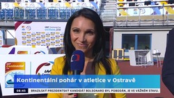 Obrázek