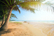 Тропический остров и пляж / Beautiful tropical island and beach Cc4c521190118904