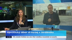 Obrázek