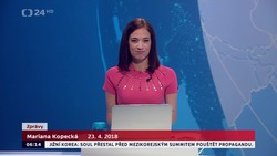 Obrázek