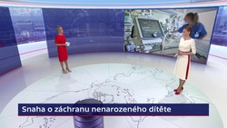 Obrázek