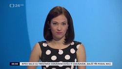Obrázek