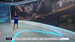 Obrázek