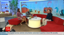Obrázek