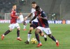 фотогалерея Bologna FC - Страница 3 7f22e4649838383