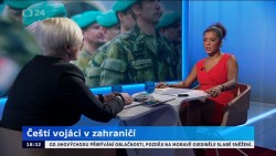 Obrázek