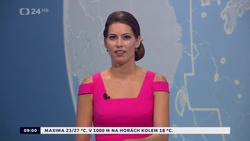 Obrázek