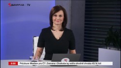 Obrázek