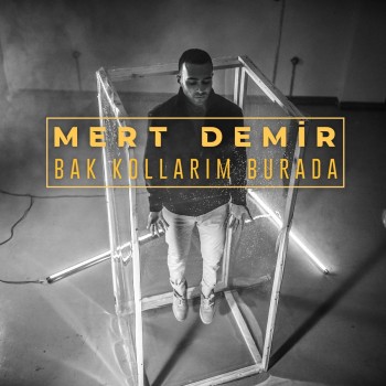 Mert Demir - Bak Kollarım Burada (2019) Full Albüm İndir Mert Demir - Bak Kollarım Burada (2019) Full Albüm İndir