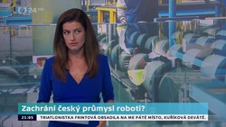 Obrázek