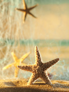 Морская звезда на пляже / Starfish with sunglasses on the beach B35f881190100814