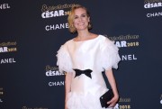 Диана Крюгер (Diane Kruger) The Cesar Revelations 2018 photocall held at Le Petit Palais in Paris, France, 15.01.2018 (68xНQ) B199a9736653913