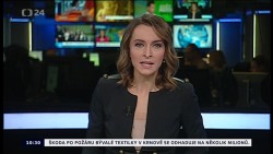 Obrázek