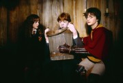 Гарри Поттер и Тайная Комната / Harry Potter and the Chamber of Secrets (Уотсон, Гринт, Рэдклифф, 2003) 7bae24651262853
