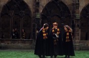 Гарри Поттер и Тайная Комната / Harry Potter and the Chamber of Secrets (Уотсон, Гринт, Рэдклифф, 2003) Df14b9651262703