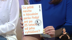 Obrázek