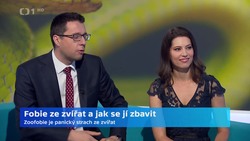 Obrázek