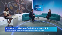 Obrázek
