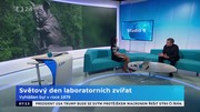 Obrázek