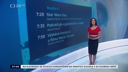 Obrázek