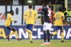 фотогалерея Bologna FC - Страница 3 4c6c9c693132733