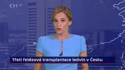 Obrázek