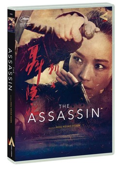 The Assassin (2015) DVD9 COPIA 1:1 ITA CIN The Assassin (2015) DVD9 COPIA 1:1 ITA CIN