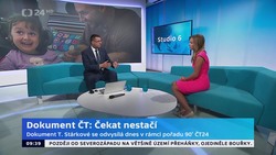 Obrázek