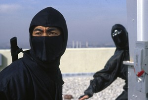 Месть ниндзя / Revenge of the Ninja (1983)  E3ffae810375793
