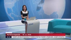 Obrázek