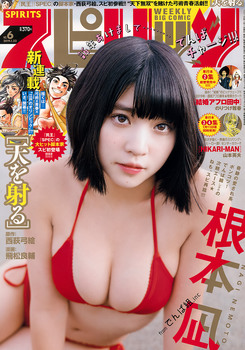 imagebam.com