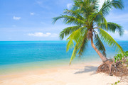 Тропический остров и пляж / Beautiful tropical island and beach B3f2571190116354