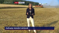 Obrázek